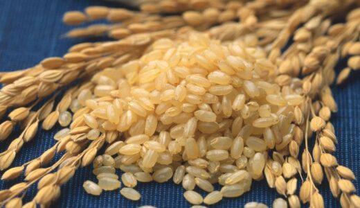 健康食のテッパン！？　|　玄米食って本当のとろこどうなの！？