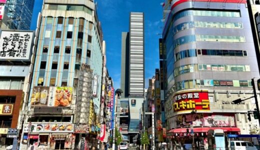 続・ドン・キホーテさんの『カラダスケール』レビュー！！筋トレ開始から一か月間。カラダスケールの数値はどう変わったか？