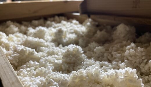 麹って身体に良いって聞くけど、実用性あるのか!?
