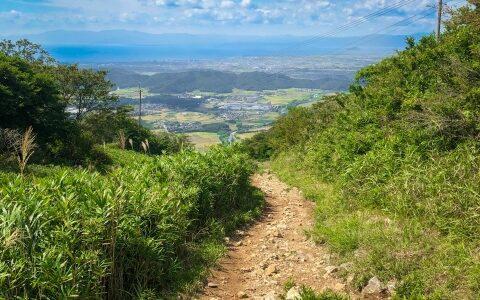 積み重ねは裏切らないのかもしれない⑩　それでも積み重ねていきたい　75