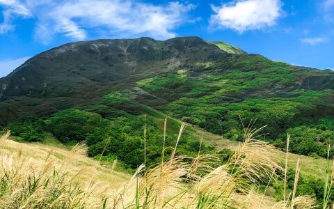 積み重ねは裏切らないのかもしれない⑨　積み重ねを信じられなくなる日　74