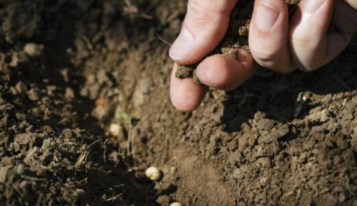人生でたくさんの種を植えてきた。学生の時も、そして今も①～人生でたくさんの種を植えてきた。学生の時も、そして今も～141
