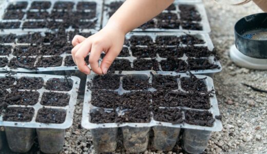 人生でたくさんの種を植えてきた。学生の時も、そして今も③～好きなことは、自分を支え、守る力になることがある～143