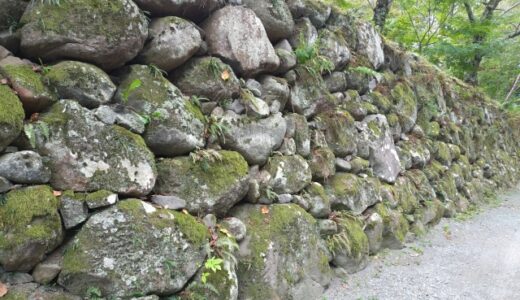 人生を支えるには、やっぱり土台も大切なのかもしれない⑤～人生を支えるには、やっぱり土台も大切なのかもしれない～180