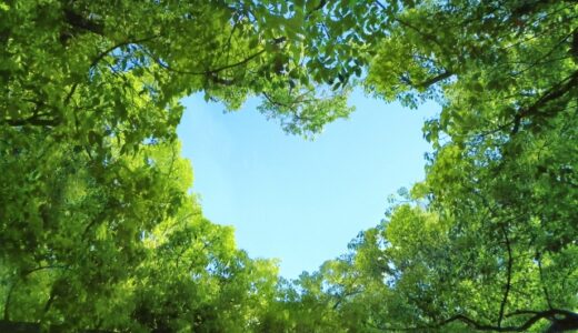 人の心が読める。それが私を疲れさせていた⑤～愛が何なのか、私はまだよくわからない～